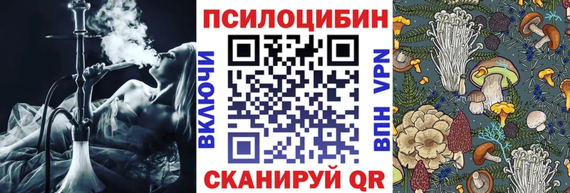 купить наркотики сайты  Чишмы  Псилоцибиновые грибы GOLDEN TEACHER 